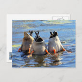 Proost! Briefkaart (Voorkant / Achterkant)