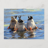 Proost! Briefkaart (Voorkant)