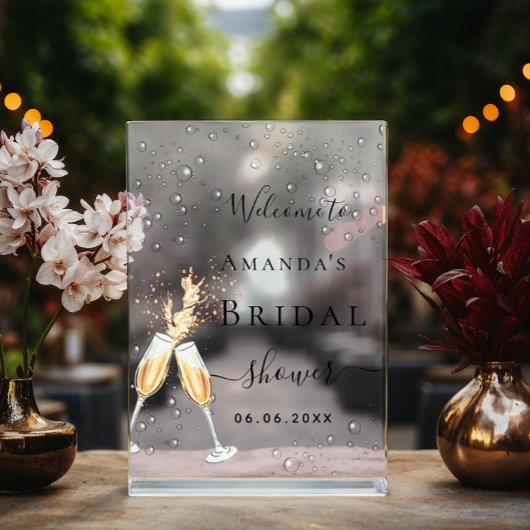 Proost bubbly brunch Vrijgezellenfeest welkom Acryl Bord