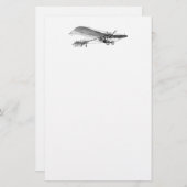 propellervliegtuig — oud propellervliegtuig briefpapier (Voorkant / Achterkant)