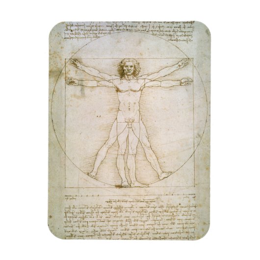 Proporties van de mens magneet (Verticaal)