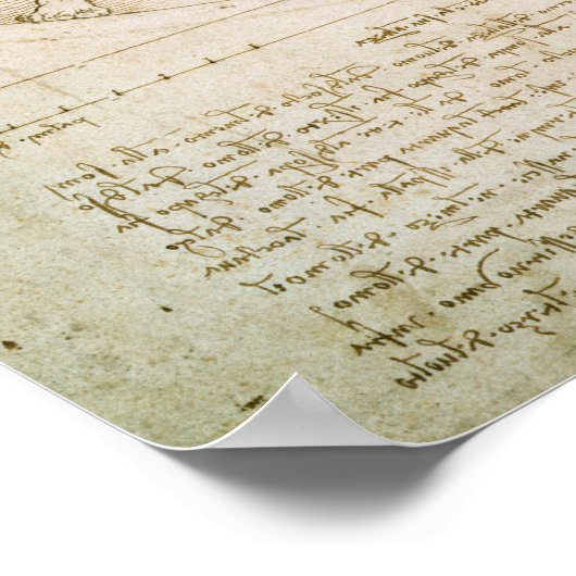 Proporties van de mens poster (Hoek)