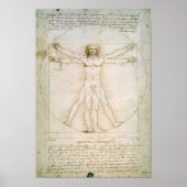 Proporties van de mens poster (Voorkant)