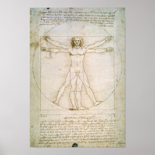 Proporties van de mens poster (Voorkant)