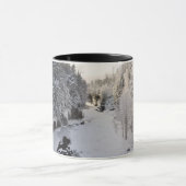 Prospect Gorge in de winter Mok (Midden)