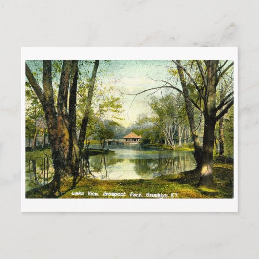 Prospect Park, Brooklyn NY, 1908 Briefkaart (Voorkant)