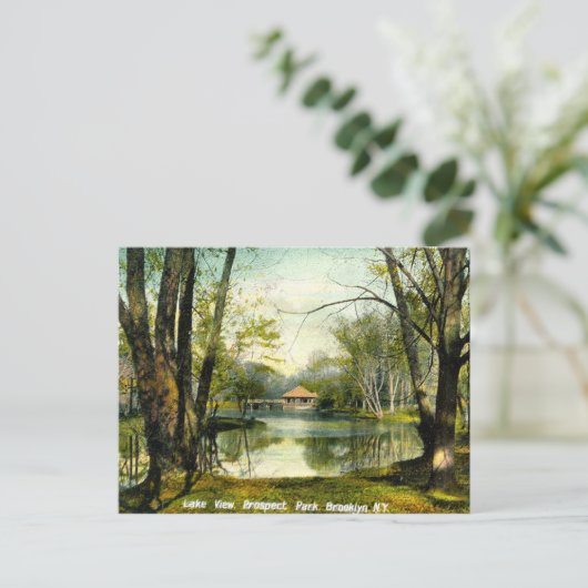 Prospect Park, Brooklyn NY, 1908  Briefkaart (Staand voorkant)