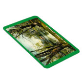 Prospect Park, Brooklyn NY, 1908  Briefkaart Magneet (Rechterzijde)