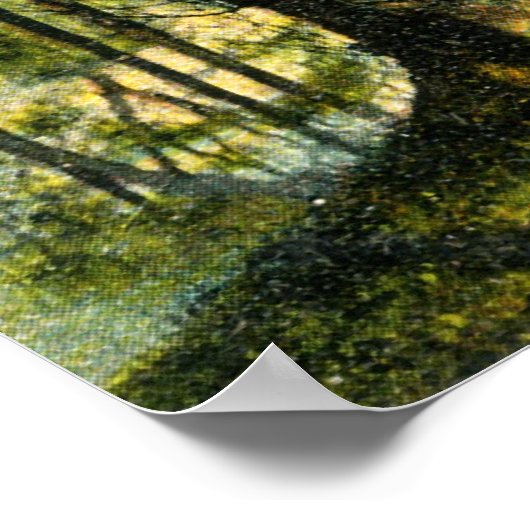 Prospect Park, Brooklyn NY, 1908  Poster (Hoek)