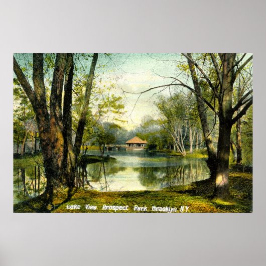 Prospect Park, Brooklyn NY, 1908 Poster (Voorkant)