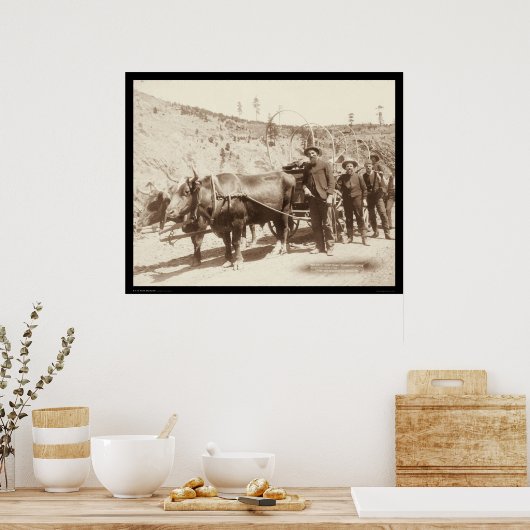 Prospectors met Gold Fever SD 1889 Poster (Keuken)