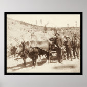 Prospectors met Gold Fever SD 1889 Poster (Voorkant)