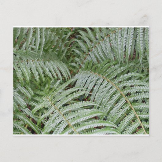 Prospectus Groen Flyer (Voorkant)