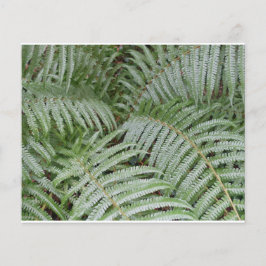 Prospectus Groen Flyer