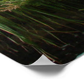 Prosper-tweesporenprogramma's 11:25 poster (Hoek)