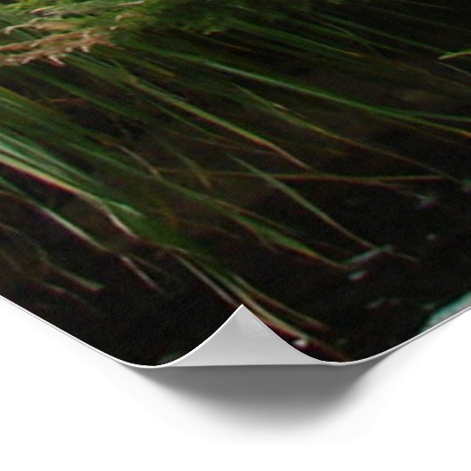 Prosper-tweesporenprogramma's 11:25 poster (Hoek)