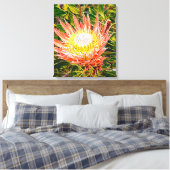 Protea Australische bloemfotografie Canvas Afdruk (Insitu (Slaapkamer))
