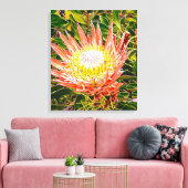 Protea Australische bloemfotografie Canvas Afdruk (Insitu (Woonkamer))