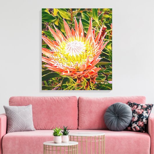 Protea Australische bloemfotografie Canvas Afdruk (Insitu (Woonkamer))