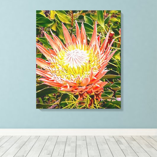 Protea Australische bloemfotografie Canvas Afdruk (Insitu (Houten vloer))