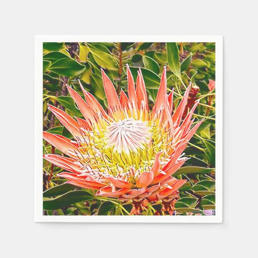 Protea Australische bloemfotografie Servet (Voorkant)