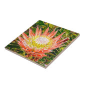Protea Australische bloemfotografie Tegeltje (Zijkant)