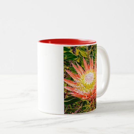 Protea Australische bloemfotografie Tweekleurige Koffiemok (Voorkant rechts)