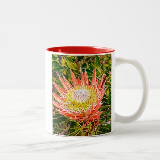 Protea Australische bloemfotografie Tweekleurige Koffiemok (Rechts)