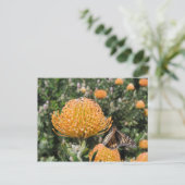 Protea Bee & Butterfly Briefkaart (Staand voorkant)
