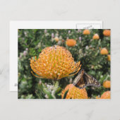 Protea Bee & Butterfly Briefkaart (Voorkant / Achterkant)