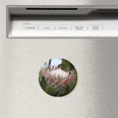 Protea bloem Hawaii Magnet (Insitu (Vaatwasser))