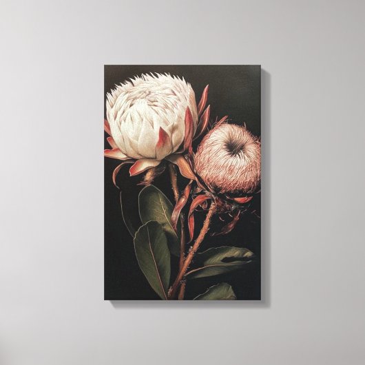 Protea bloem verf decor canvas afdruk (Voorkant)