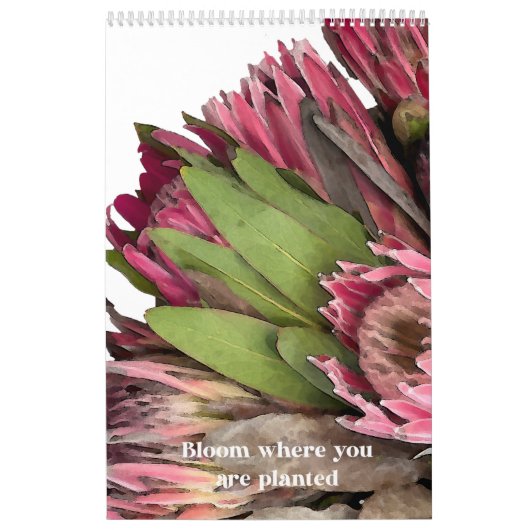 Protea Boeket Kalender (Hoes)