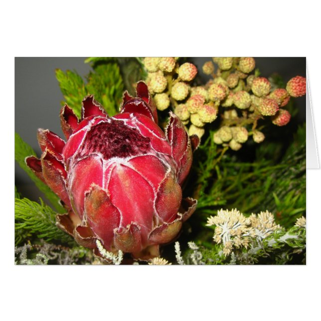 Protea Bouquet (Voorkant Horizontaal)