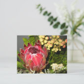 Protea Bouquet Briefkaart (Staand voorkant)