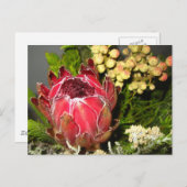 Protea Bouquet Briefkaart (Voorkant / Achterkant)