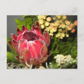 Protea Bouquet Briefkaart (Voorkant)