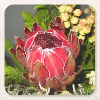 Protea Bouquet Kartonnen Onderzetters