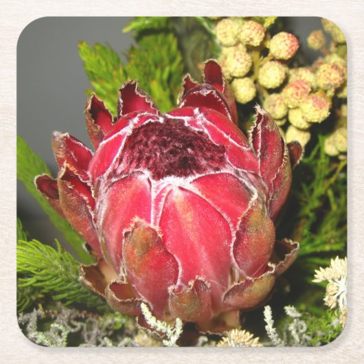 Protea Bouquet Kartonnen Onderzetters (Voorkant)