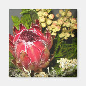 Protea Bouquet Magneet (Voorkant)