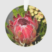 Protea Bouquet Ornament (voorkant)