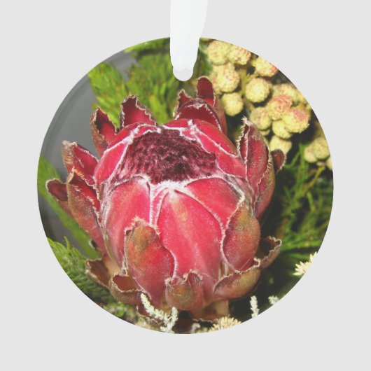 Protea Bouquet Ornament (voorkant)