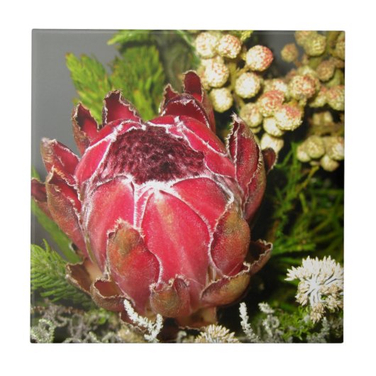 Protea Bouquet Tegeltje (Voorkant)