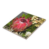 Protea Bouquet Tegeltje (Zijkant)