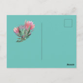 Protea flower invitation briefkaart (Achterkant)