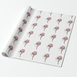 protea flowers cadeaupapier