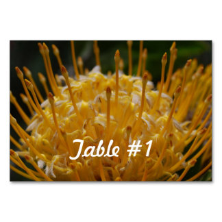 Protea Flowers Kaart