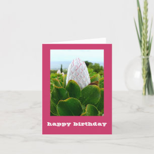 PROTEA: HAPPY BIRTHDAY KAART