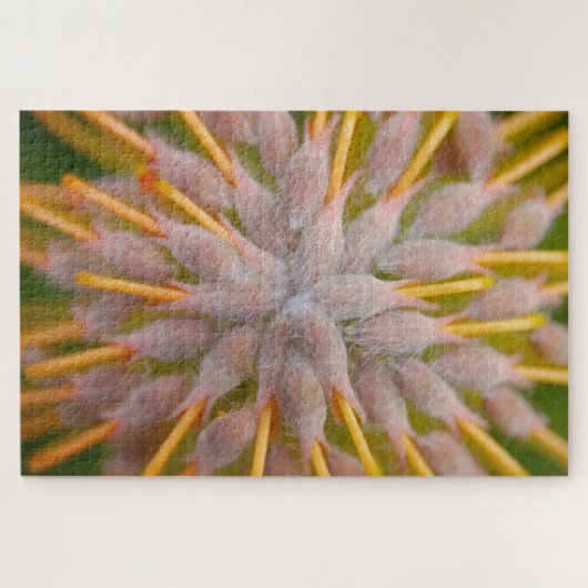 Protea Leucospermum praecox. . Pincushion protea. Legpuzzel (Horizontaal)