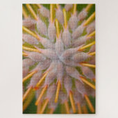 Protea Leucospermum praecox. . Pincushion protea. Legpuzzel (Verticaal)